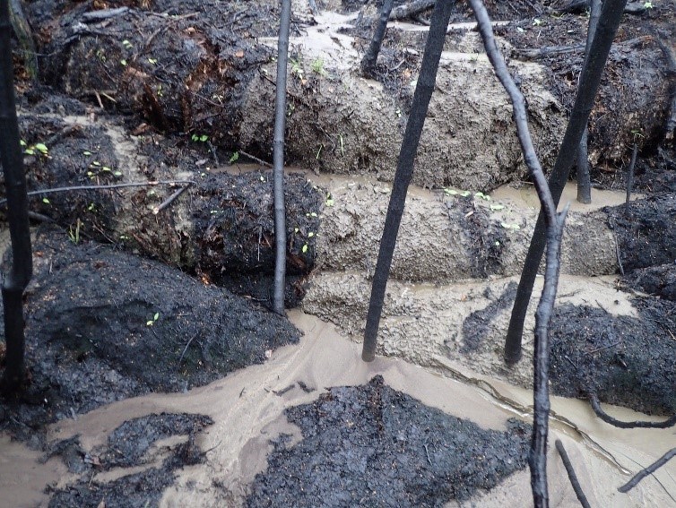 Slumps in ground Muddy water, like chocolate pudding, runs through slumps in the ground.