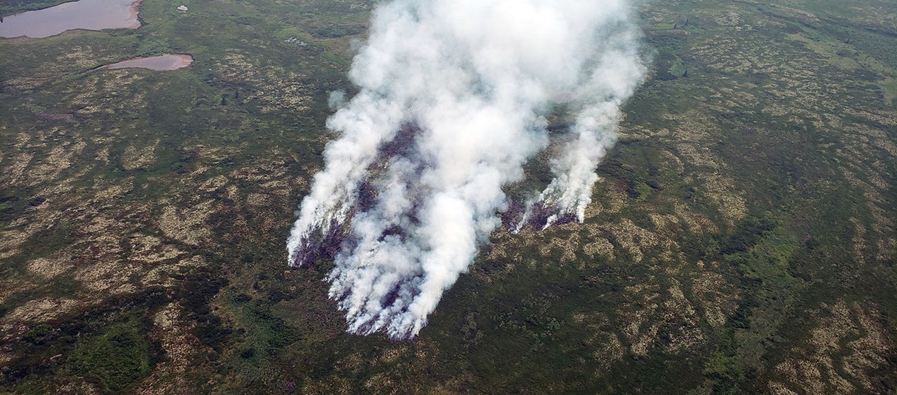 Snipe Lake Fire Significant smoke rises from a wooded area in Lake Clark National Park and Preserve.