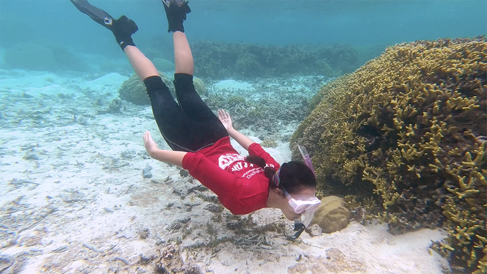 Snorkler in red shirt and leggings diving underwater near coral.