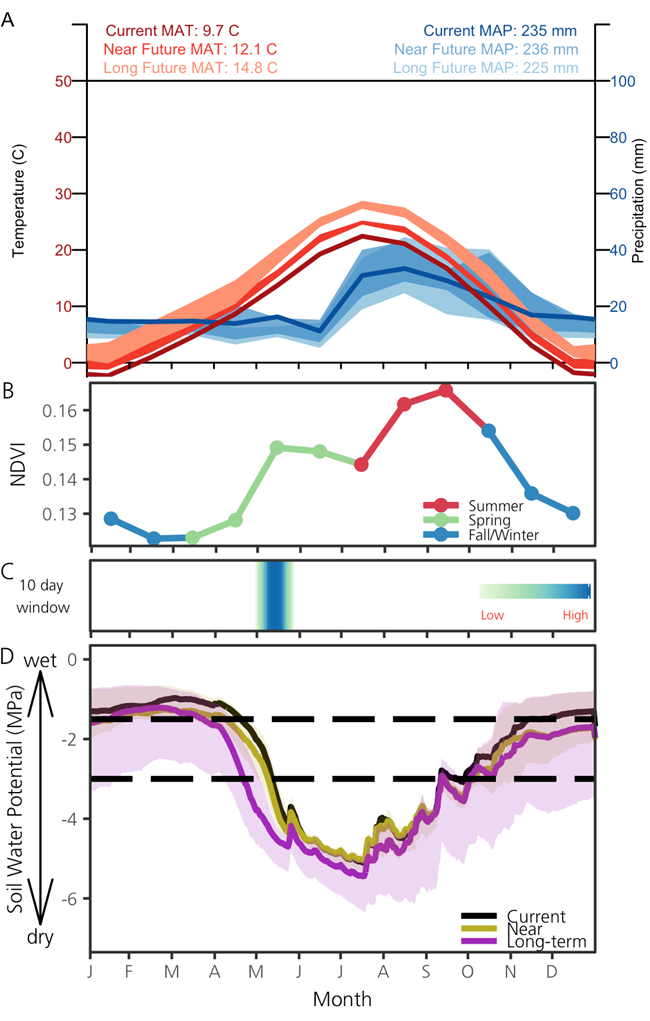 A vertical series of 4 panels showing temperature and precipitation patterns, NDVI, the time of year when soil moisture is most strongly correlated to annual NDVI, and daily estimates of soil moisture throughout the year.