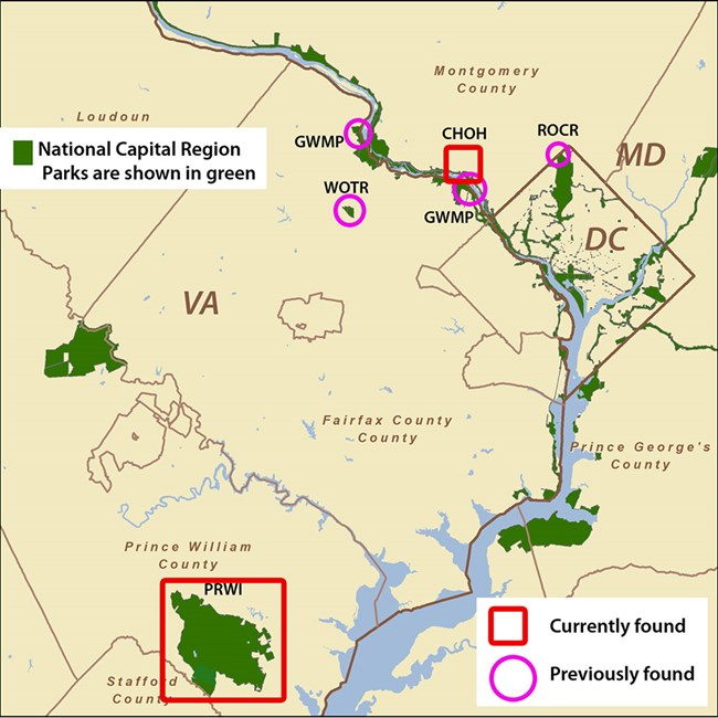 Map of freshwater sponges Map of DC area parks with freshwater sponges