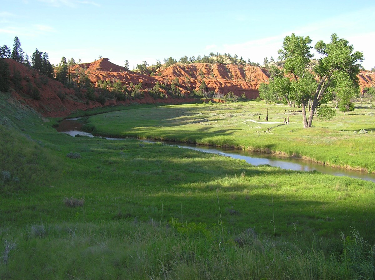 River meandering through green grass field, with red cliffs and trees in background.