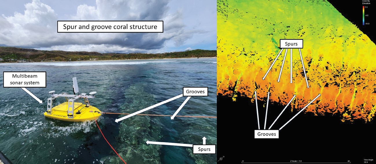 Lemmy mapping the coral reef offshore of the Asan Beach Unit at War in the Pacific National Historical Park. The left photo shows the spur and groove coral structure from the water’s surface as it is being mapped, and right image shows the same structure.