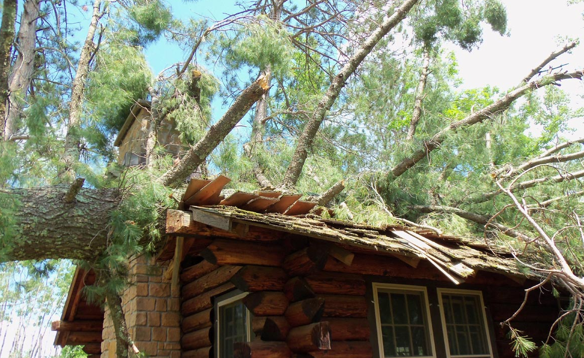 Log cabin with a fallen tree on the roof.