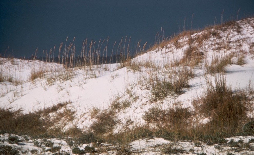 Storms_Response_Barrier01 sand dunes