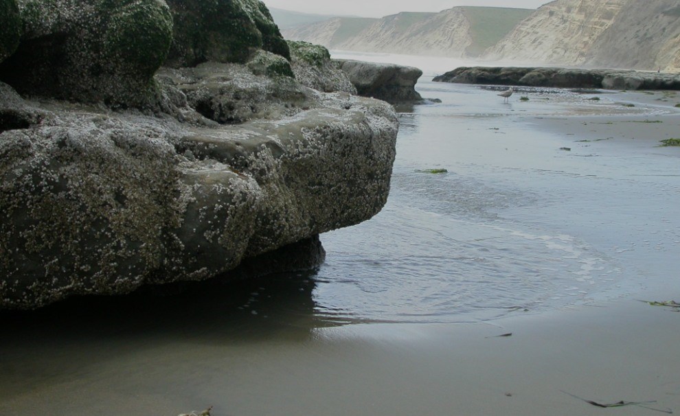 Storms_Response_Grain05 fine grained beach sediments and large rock platforms
