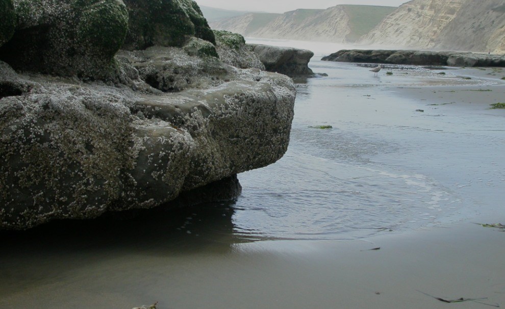 fine grained beach sediments and large rock platforms