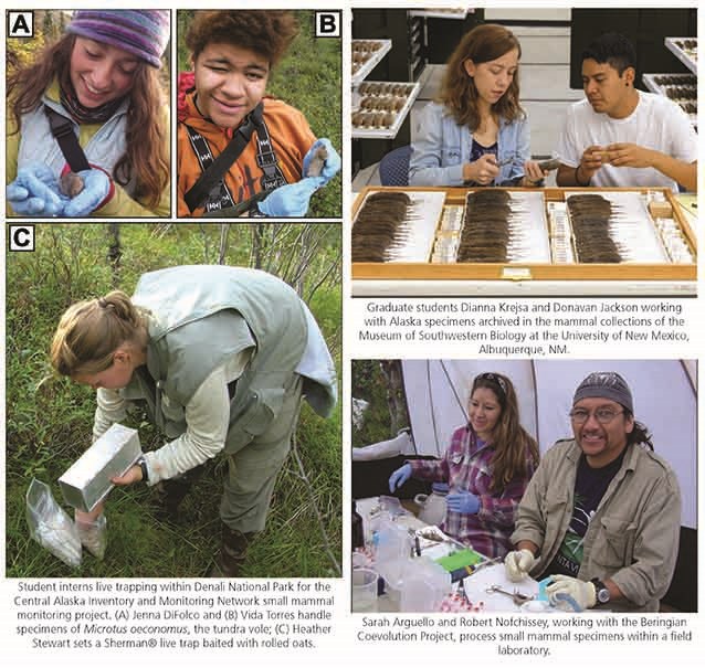 student collage four images of adults and kids looking at live and dead rodents