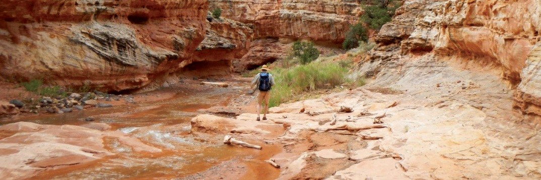 Person standing at edge of creek flowing through red rock canyon