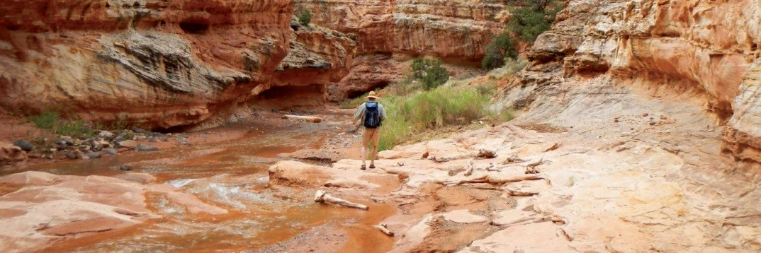 SulphurCk Person standing at edge of creek flowing through red rock canyon
