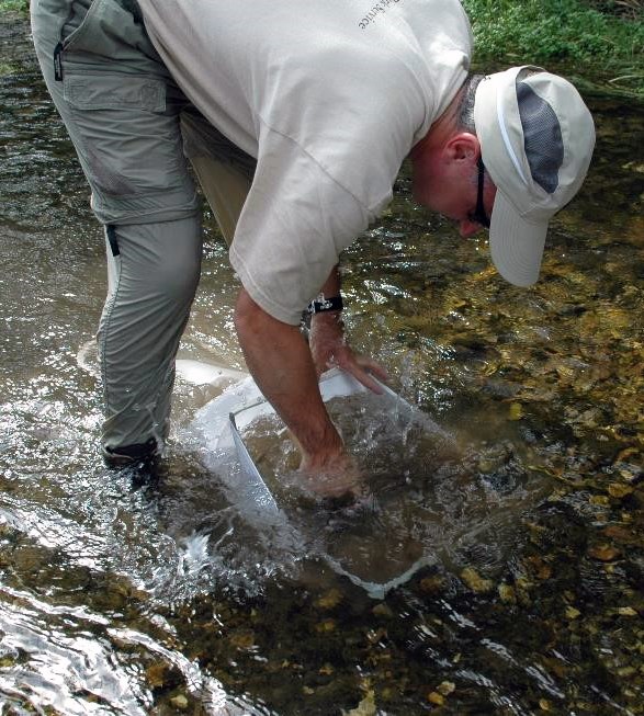 Surber Stream Bottom Sampler A scientist standing in a shallow stream bending over a net submerged in the water.