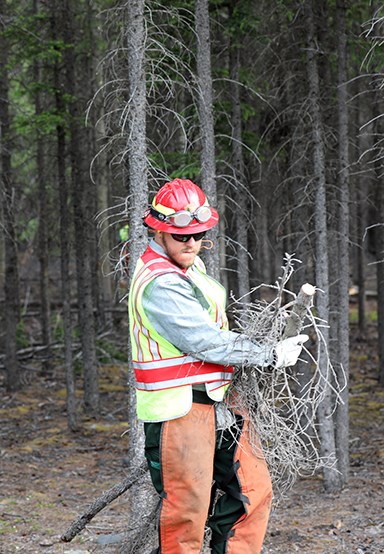 Mike Sweeney A male firefighter in PPE carries an arm full of downed hazard vegetation out of the tree line.