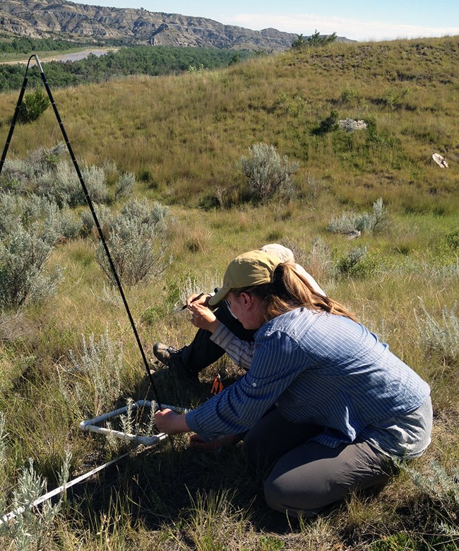 Two people sitting on the ground. One is holding a clipboard and pen and the other is looking at the ground holding a pole next to a stretched out measuring tape