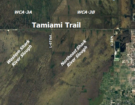 Map showing the East/West portion of the Tamiami Trail and how it is an impediment to natural sheetflow.