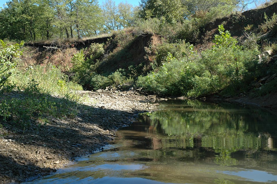 Small stretch of Fox Creek at Tallgrass Prairie National Preserve.