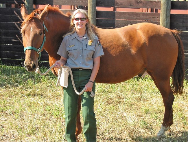 Park Ranger holds the reins of horse.