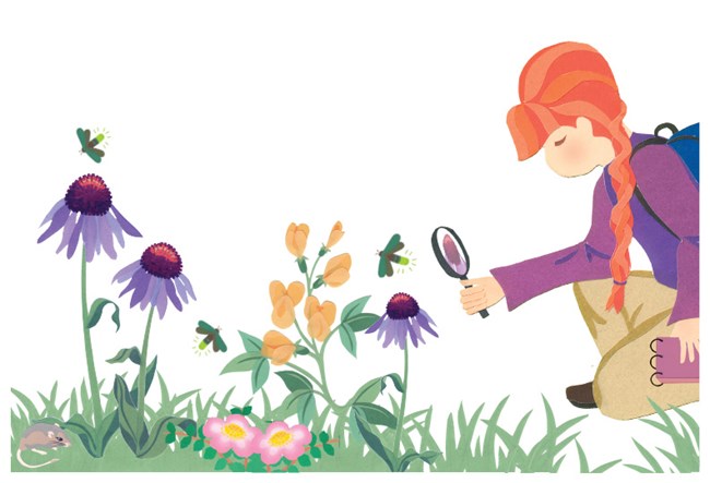 Junior Web Ranger Activities for Ages 7-10 (U.S. National Park Service)