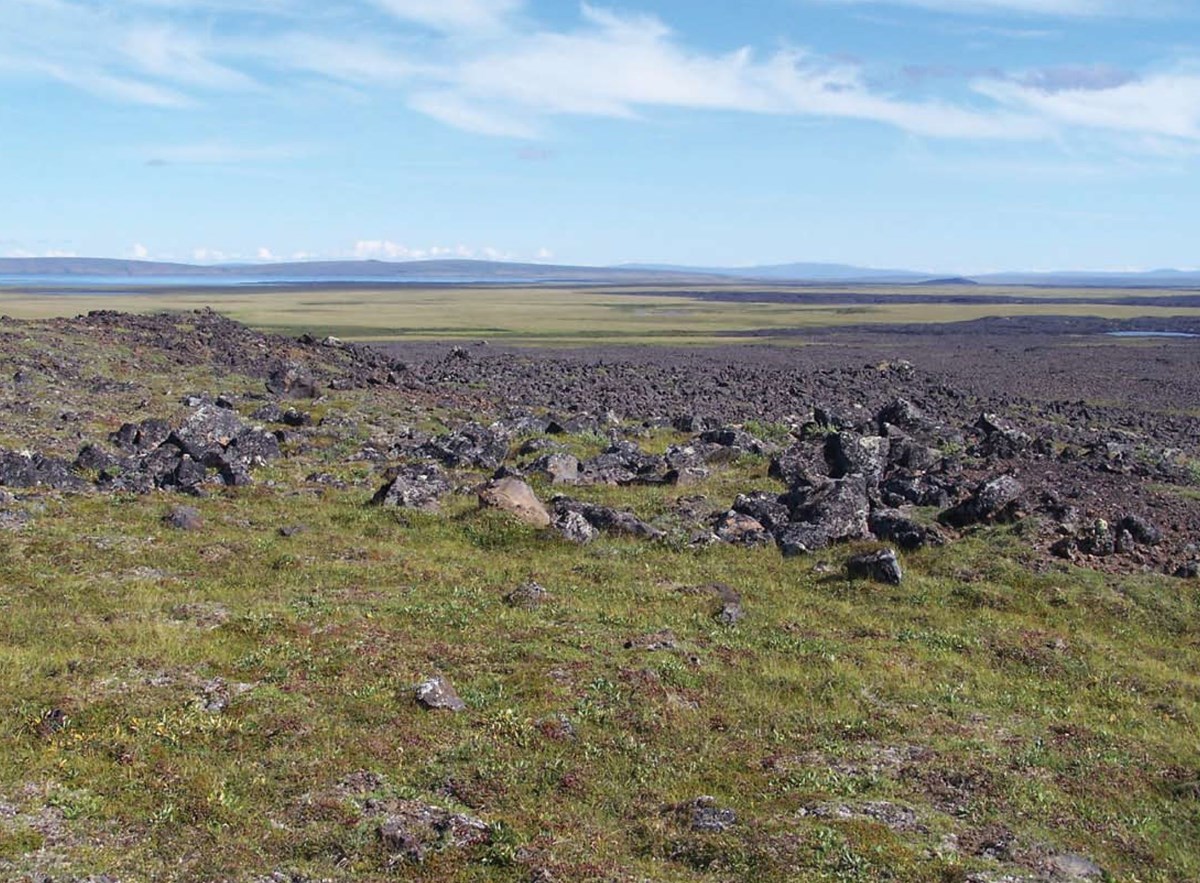 A grassy field transitions into a rocky lava flow.