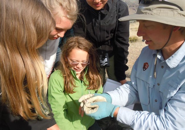 Biologist in NPS uniform shows visitors a lizard specimen.