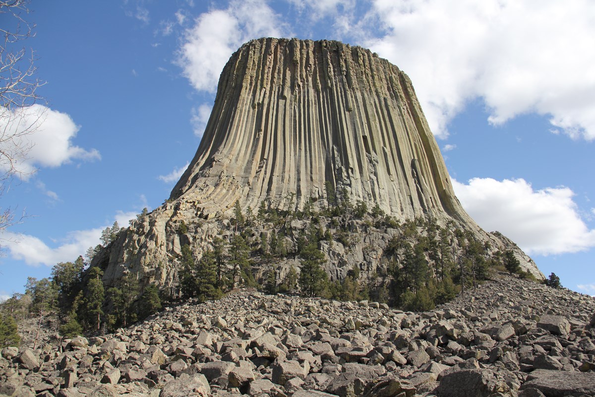 Devils Tower against a blue sky background with the boulder field and pine trees in the foreground.