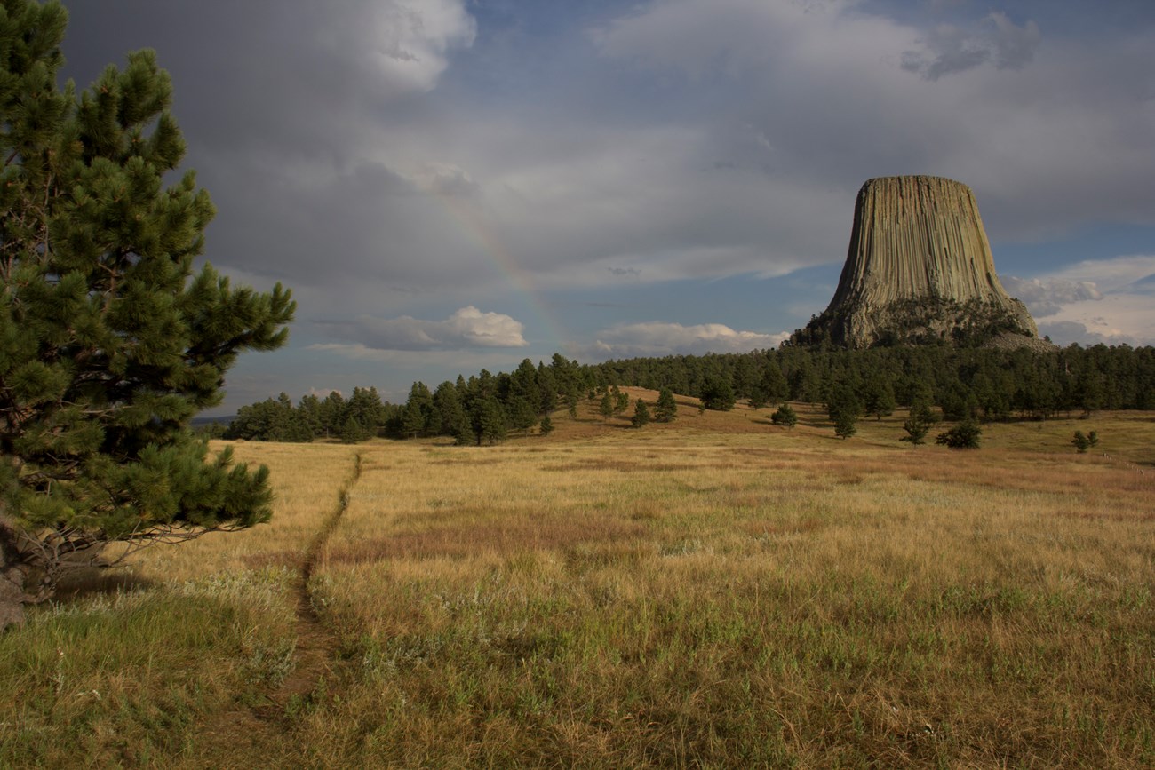 A hiking trail crossing through a prairie with Devils Tower, trees, and a rainbow in the background.