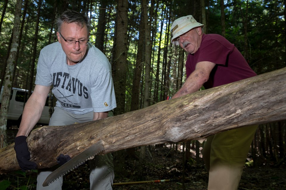 Two men lift a fallen tree log
