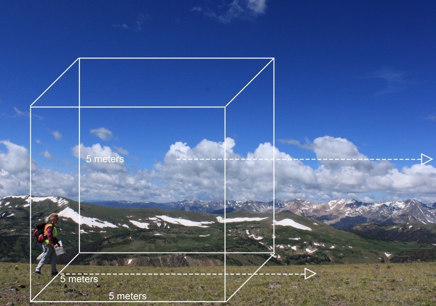 Survey crosses grassy expanse with mountains in the background; overlaid box illustrated transect area.