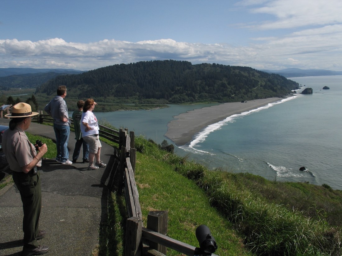 people look out over ocean