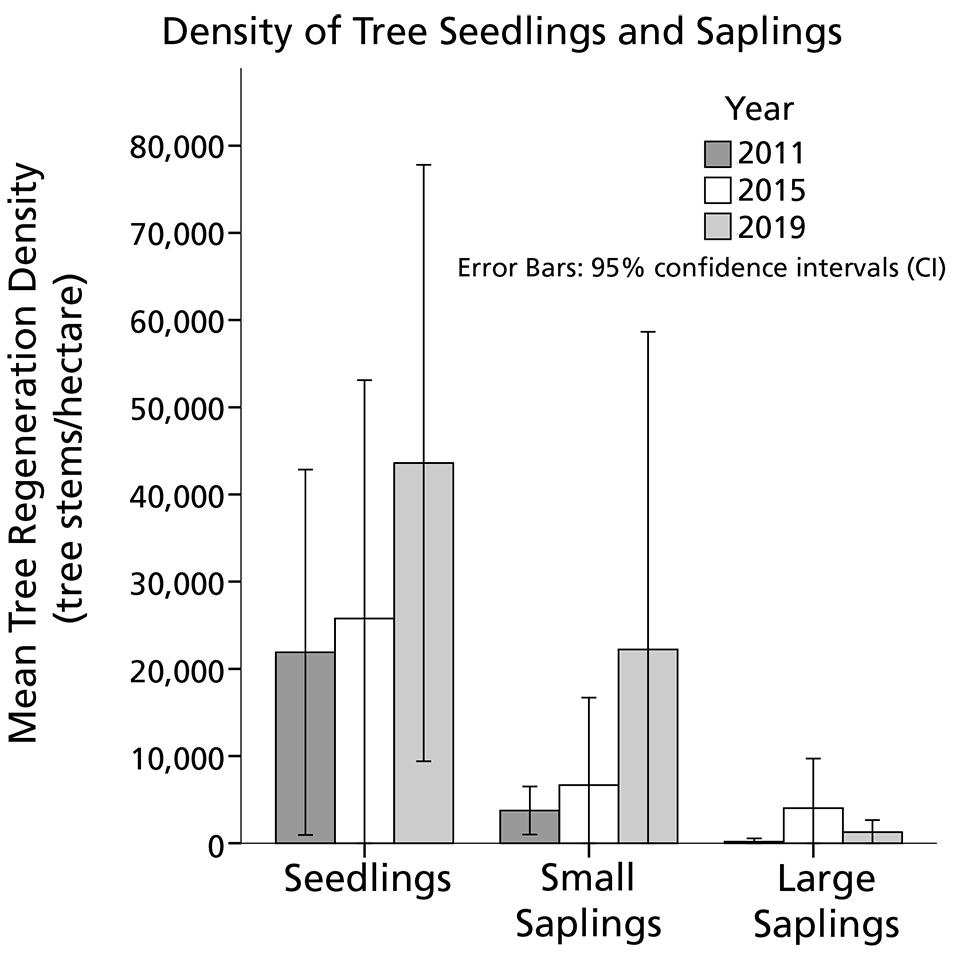 Bar graph of tree regeneration at LIBO from 2011 to 2019.