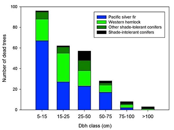 Chart showing number of dead trees of four species by group.