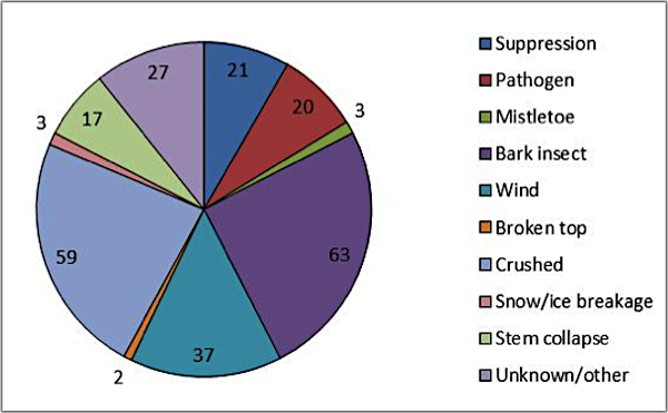 Causes of tree mortality Pie chart showing differnt causes of mortality of trees, with most by bark insect (63) and crushed (59).