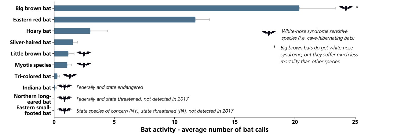 Bar chart showing bat species activity based on the number of recorded bat calls in the park. Bar chart showing bat species activity based on the number of recorded bat calls in the park.