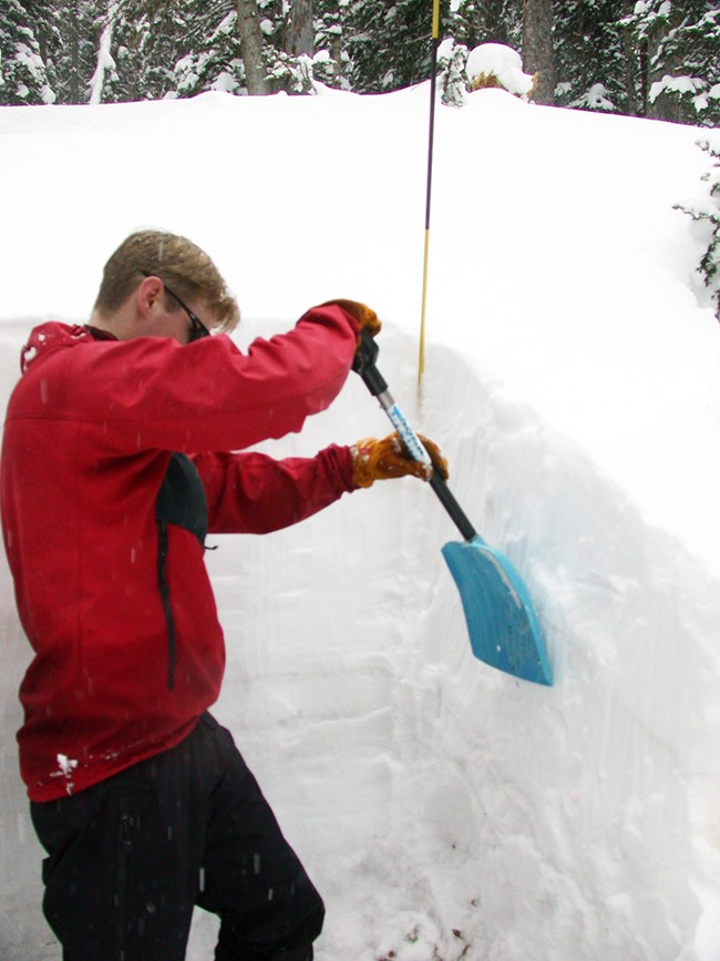 Sampling snow man standing in a 5 ft deep snow pit, shoveling in the pit