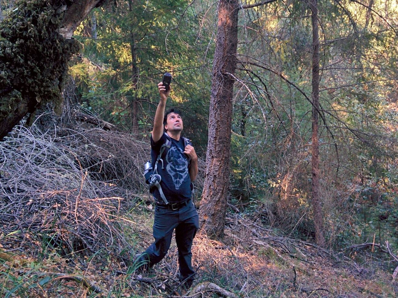 Person in the forest holding up an electronic device over his head.