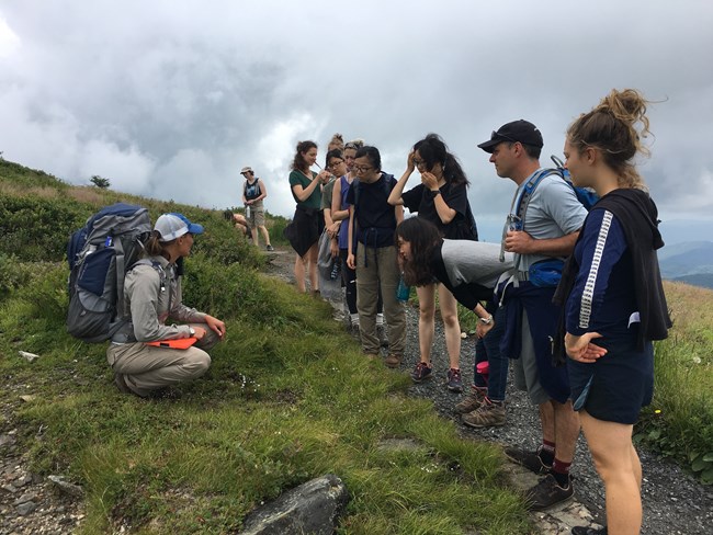 University Science Workshop in Glacier Bay - Arete_Appalacians students stand on a trail and listen to an instructor