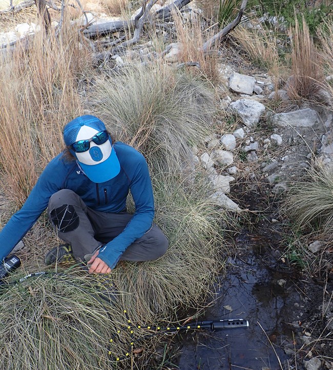 A person holding water monitoring equipment in a narrow channel of water surrounded by grass tufts.