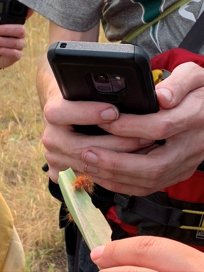 Close up of a phone in person's hand