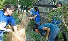 Group of volunteers