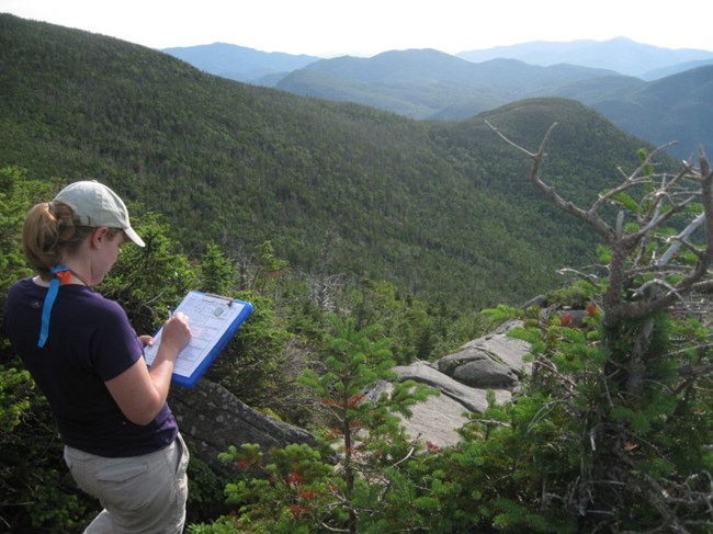 Citizen science monitoring for Bicknell's Thrush