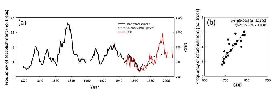 Data graph showing the changes in forest composition.
