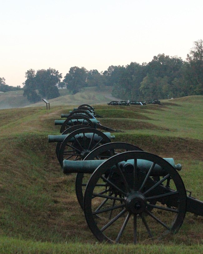 row of cannons