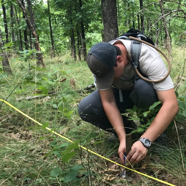 A scientist is kneeling in grass. Uses a tool to measure the plants.