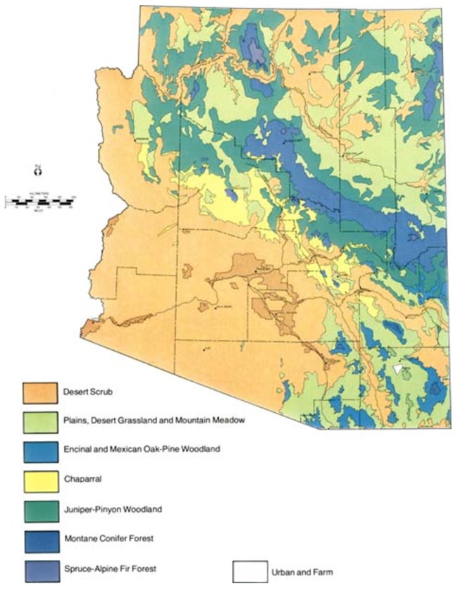 Map of Arizona showing vegetation patterns