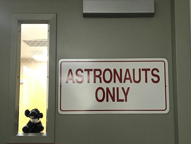 toy dog looking through door that says "astronauts only"