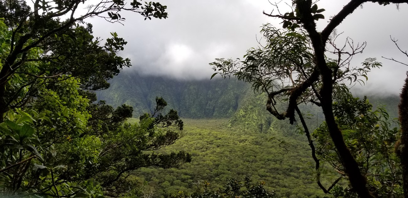 Kipahulu Biological Reserve. Kipahulu Valley contains plant and animal species found nowhere else on earth and is an invaluable research location.