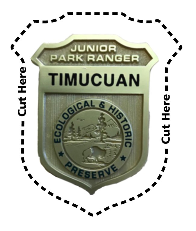 a gold badge that read Junior Park Ranger Timucuan Ecological and Historic Preserve with a dotted line to cut out
