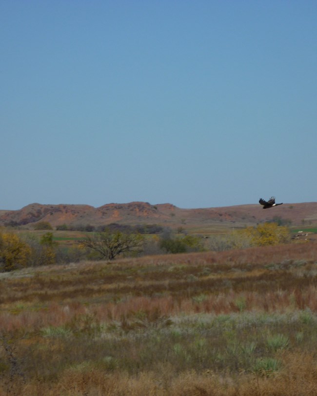 rolling landscape