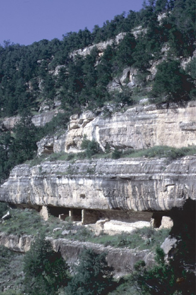 steep slope with trees and cliff dwellings