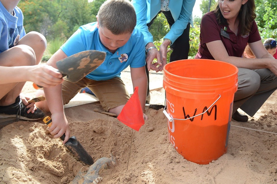 Kid digging for fossils