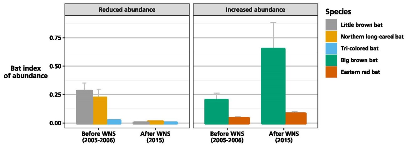Figure showing some species have declined, while others have increased, after the arrival of white-nose syndrome.